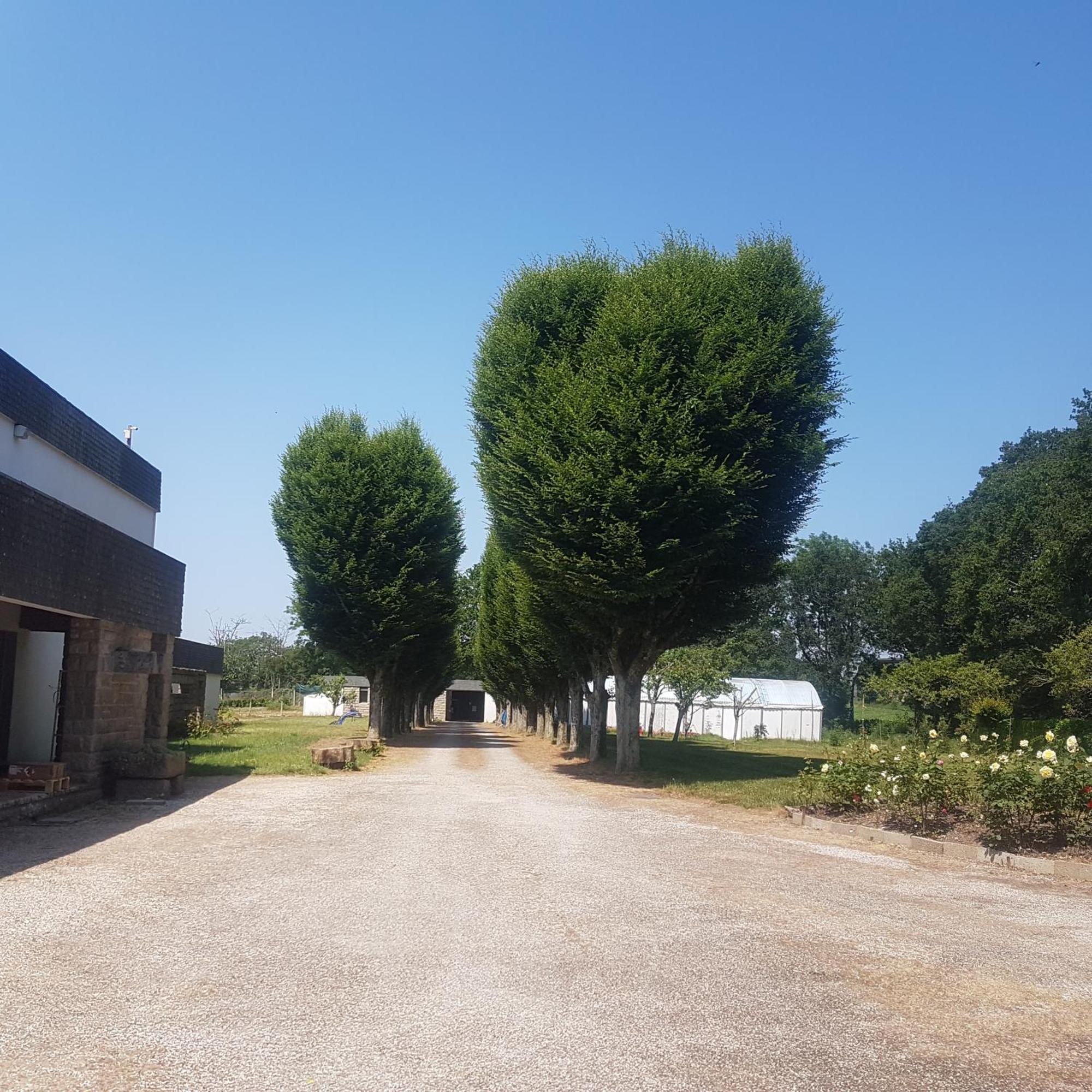 Domaine De La Chesnaie Acomodação com café da manhã Josselin Exterior foto