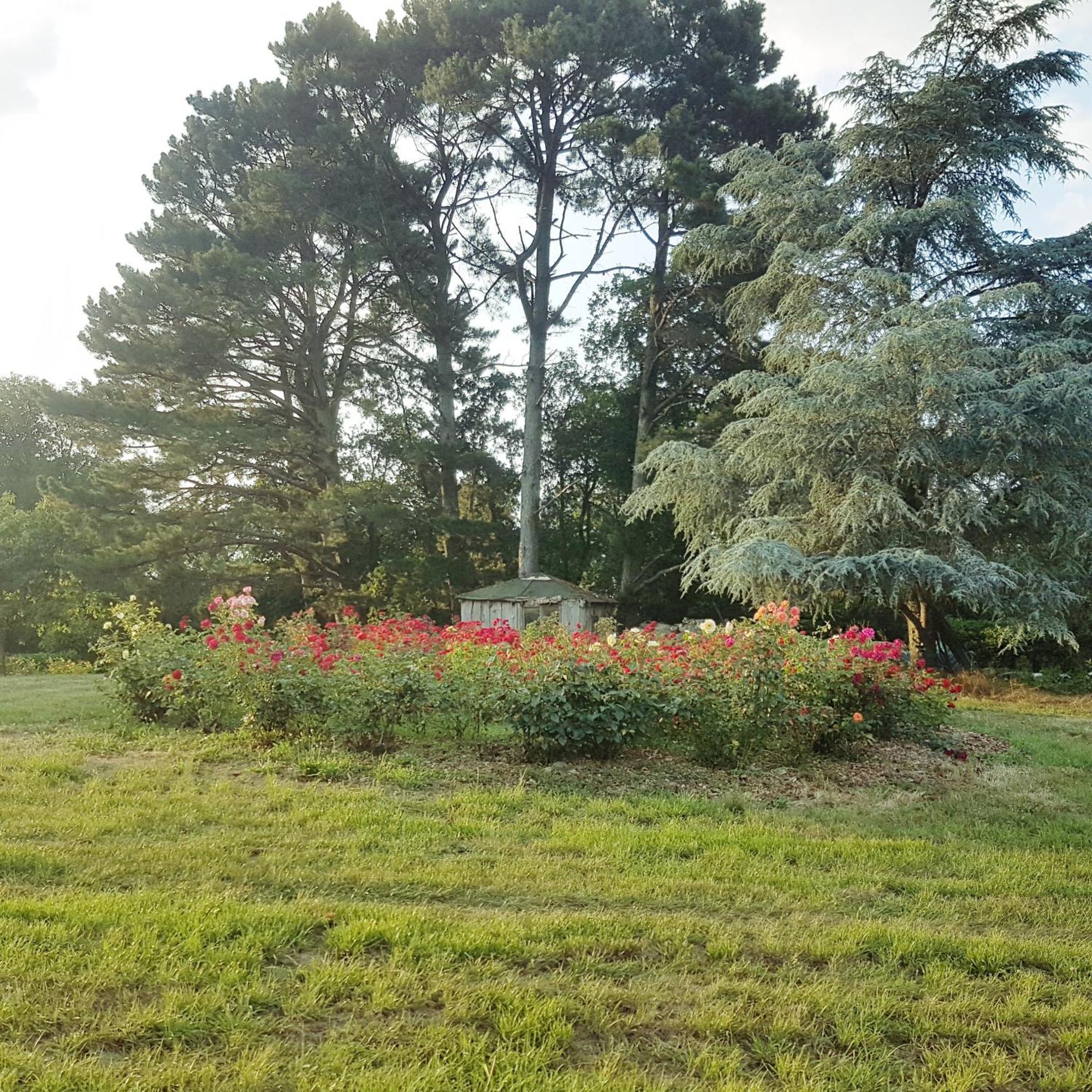 Domaine De La Chesnaie Acomodação com café da manhã Josselin Exterior foto