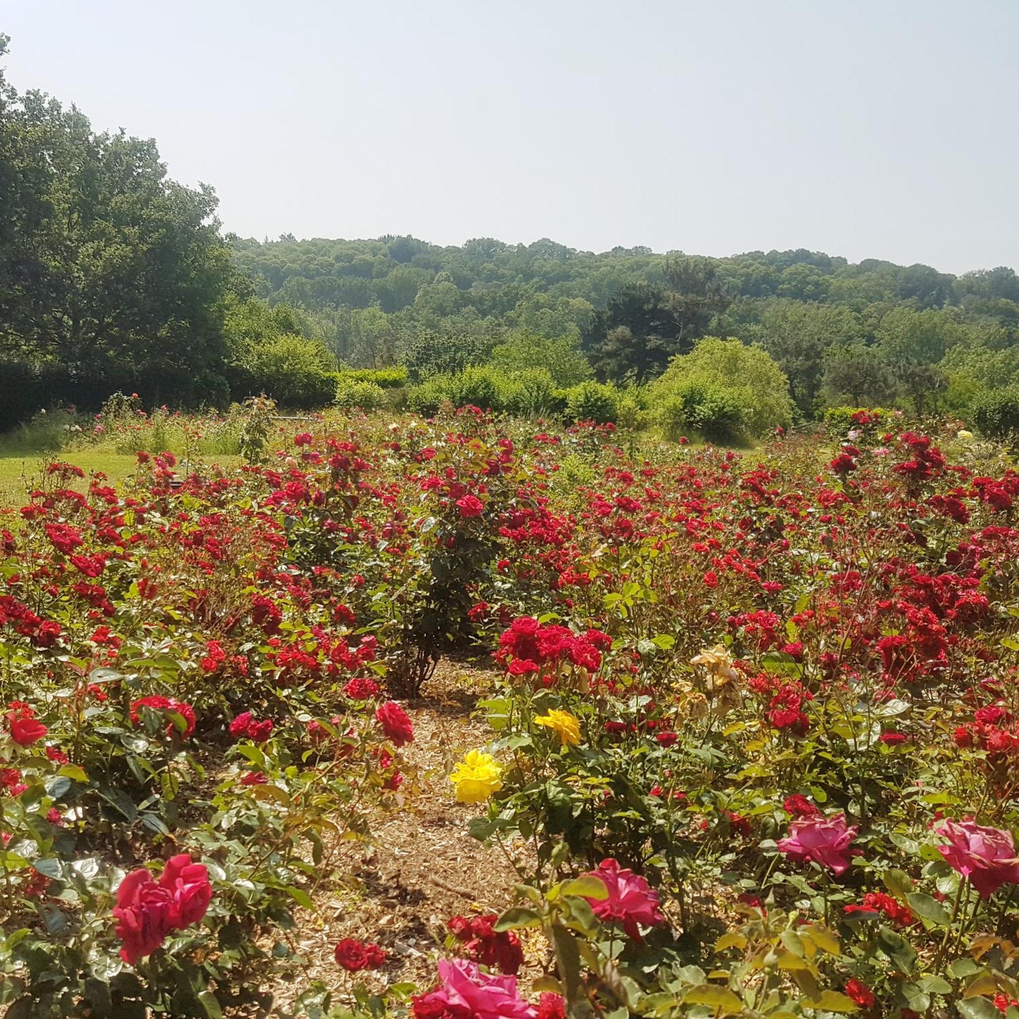 Domaine De La Chesnaie Acomodação com café da manhã Josselin Exterior foto